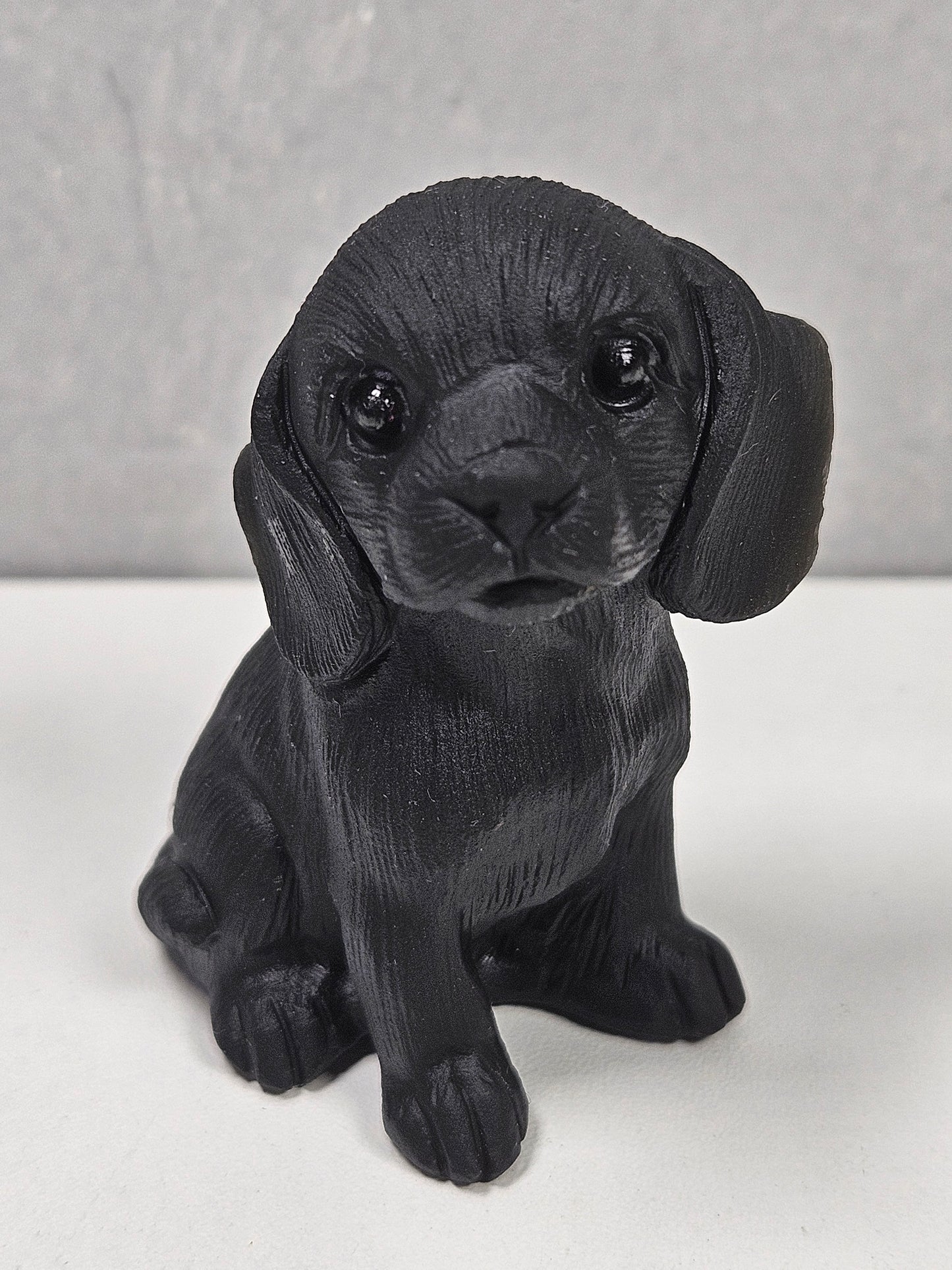 Zwarte obsidiaan puppy