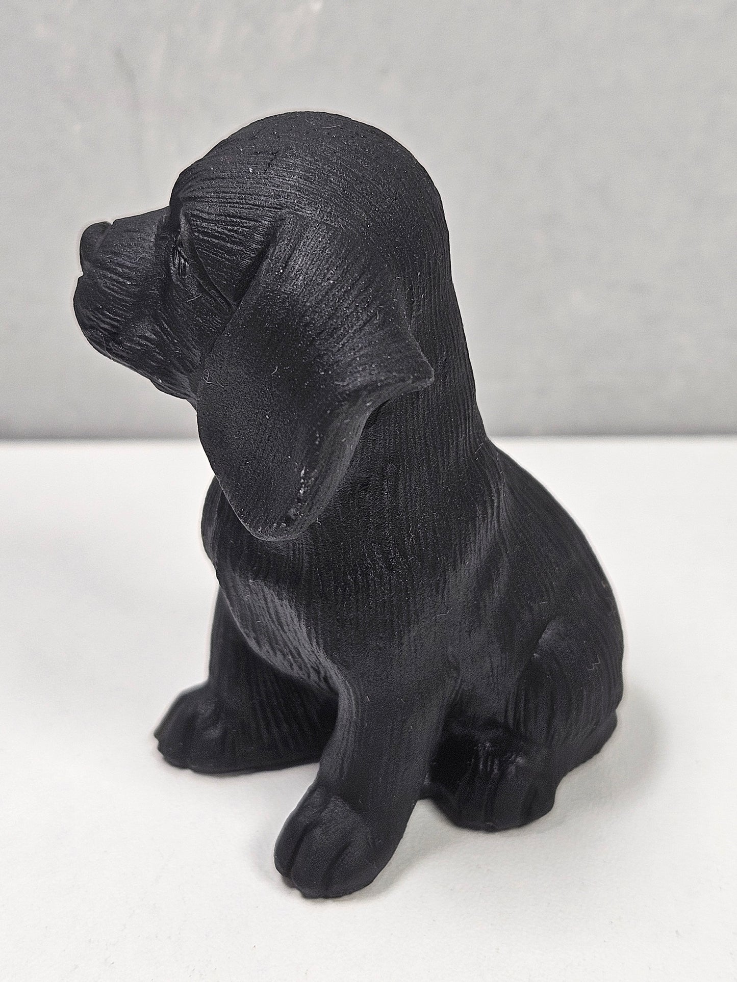 Zwarte obsidiaan puppy