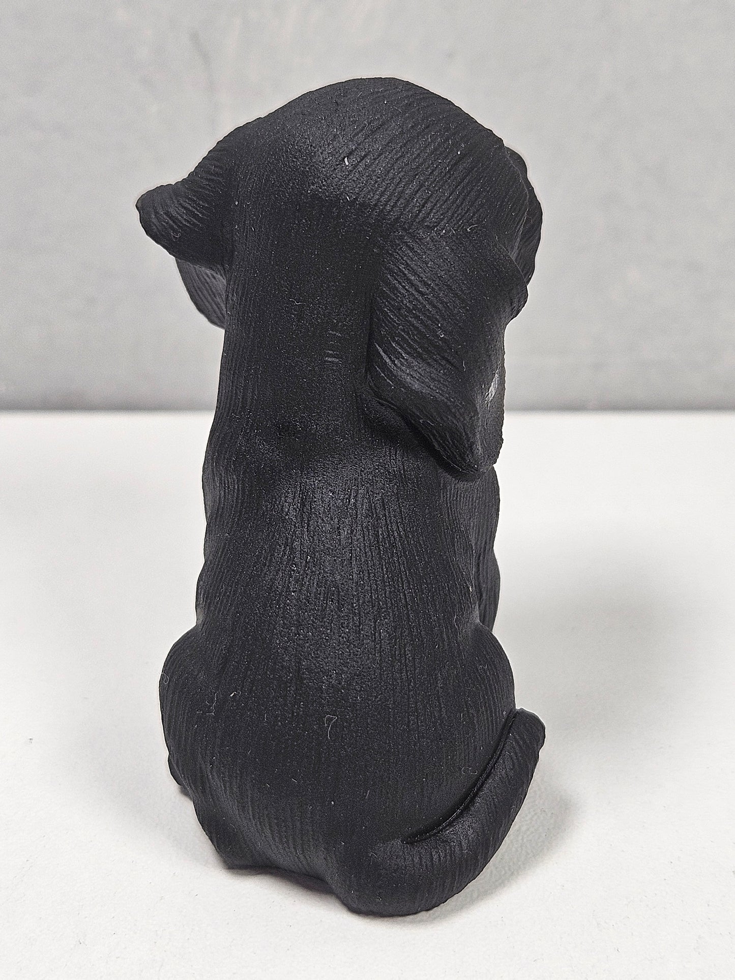 Zwarte obsidiaan puppy